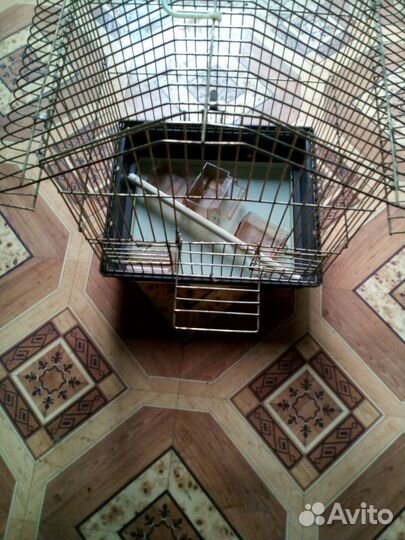 Клетка для волнистого попугая