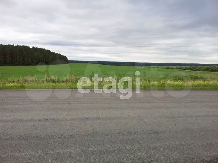 Участок 24 га (СНТ, ДНП)