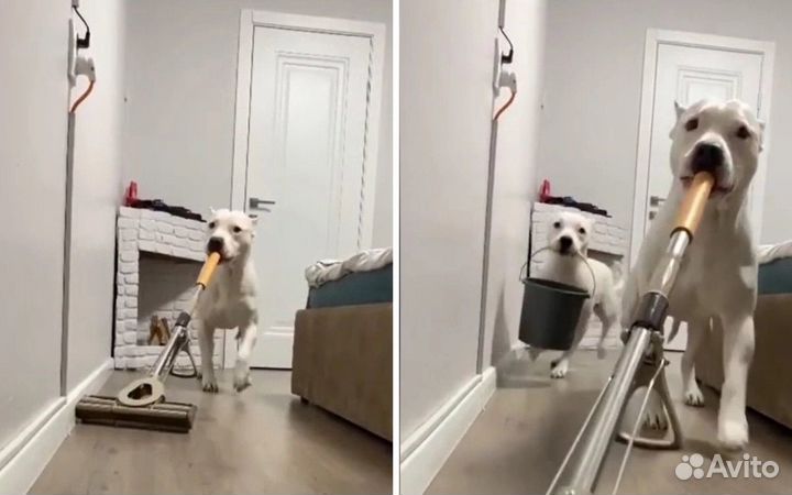 Уборка квартир, клининг