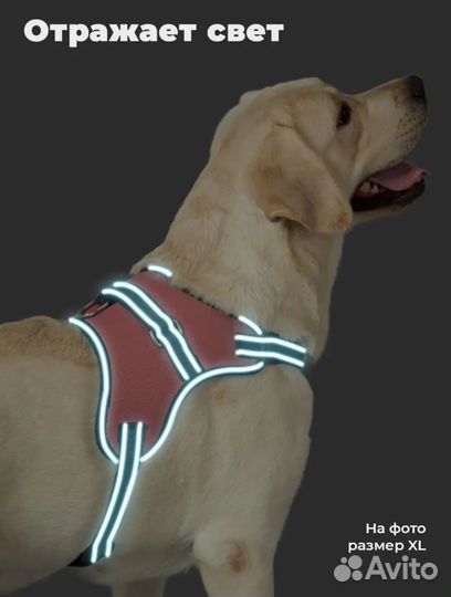Шлейка для собаки новая