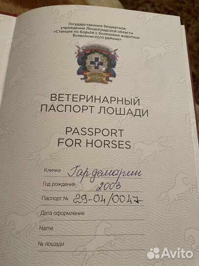 Продам лошадь мерин