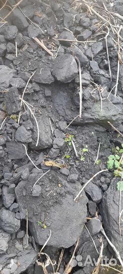 Каменный уголь