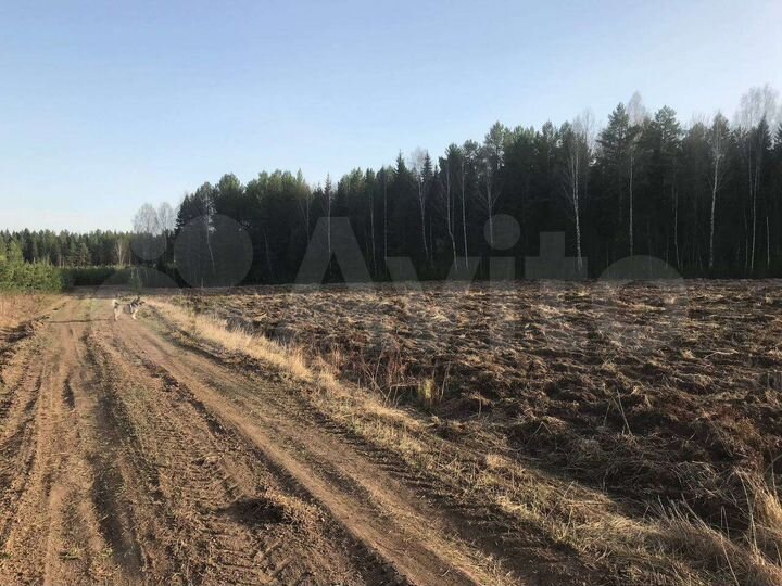 Участок 2,5 га (СНТ, ДНП)