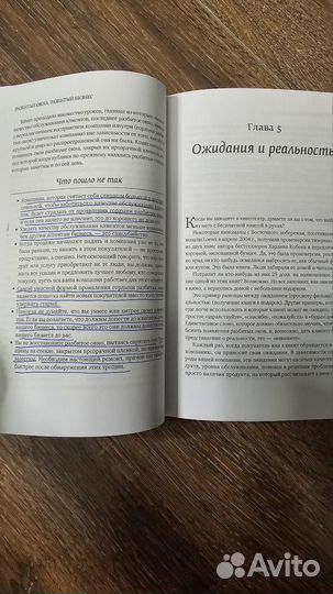 Разбитые окна. Разбитый бизнес