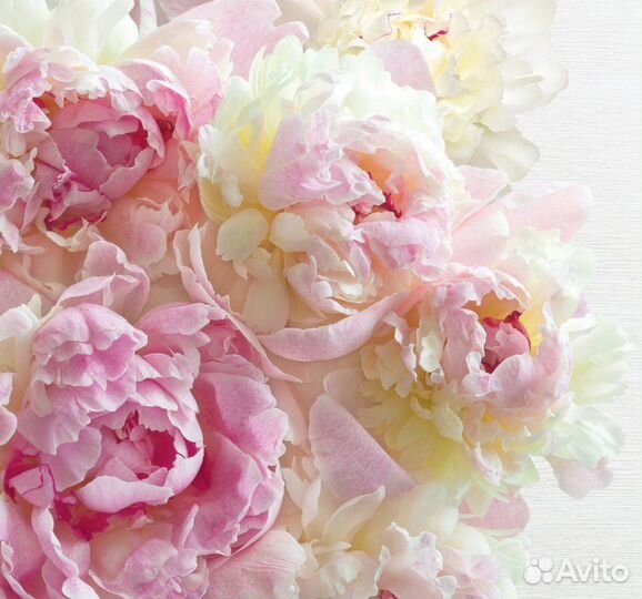 Фотопанно 294х260