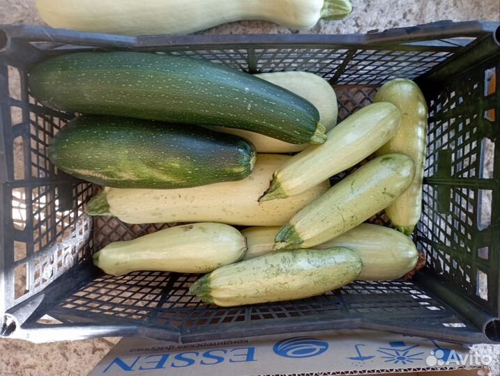 Баклажаны, помидоры, картофель, огурцы, кабачки