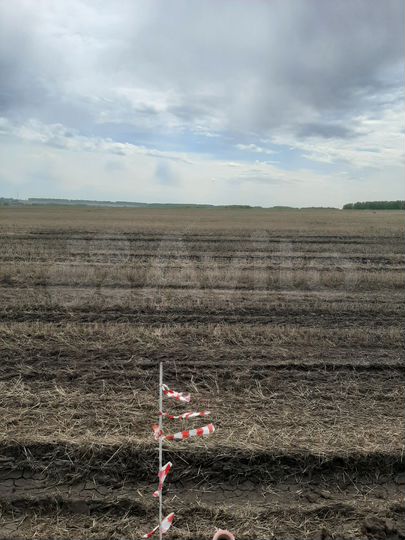 Участок 4 га (СНТ, ДНП)