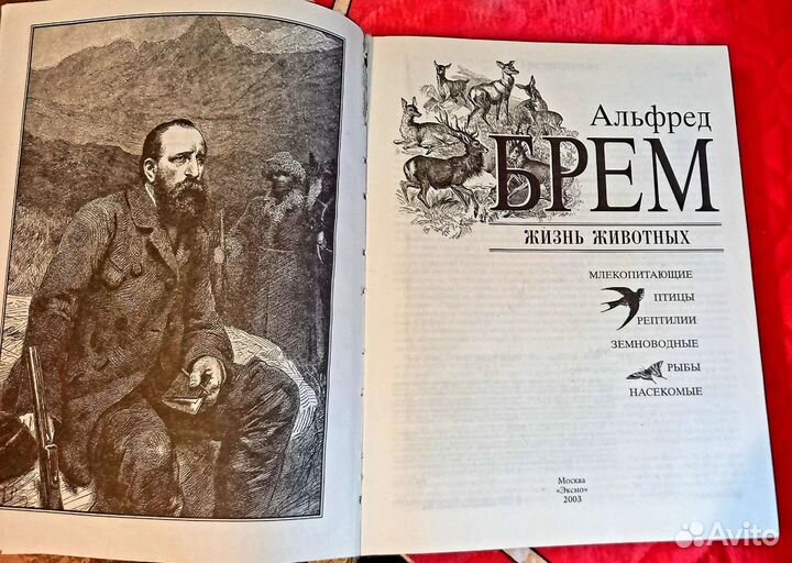 Книга Жизнь животных современная версия Брем
