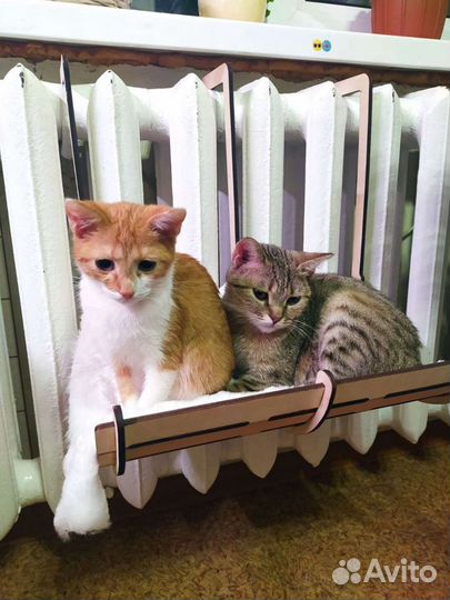 Подвес (лежак) на батарею для котов и кошек