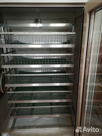 Инкубатор для яиц