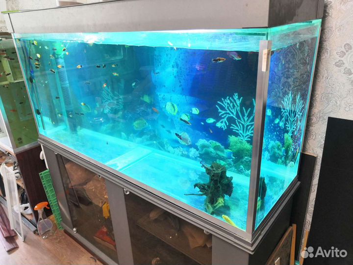Аквариум