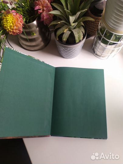 Wild AT home Хилтон Картер