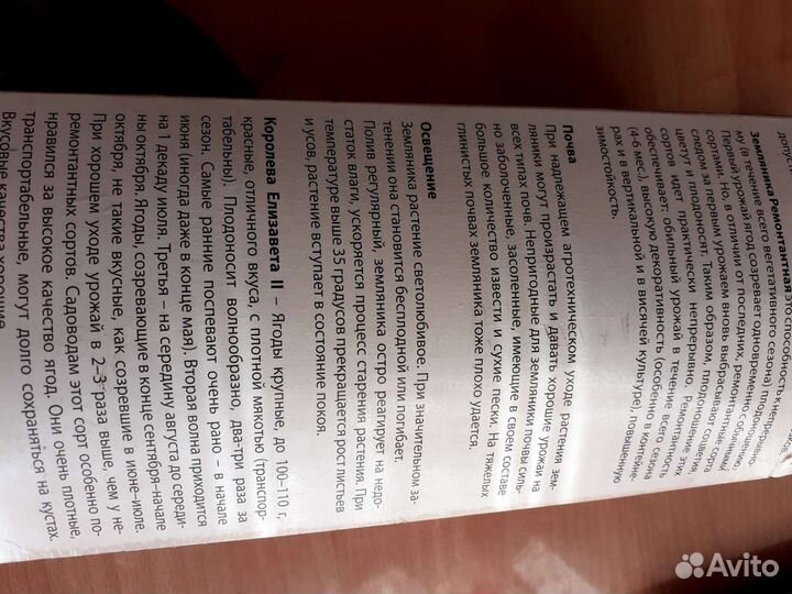 Рассада 1.6-2х лет.клубники Ремонтантной