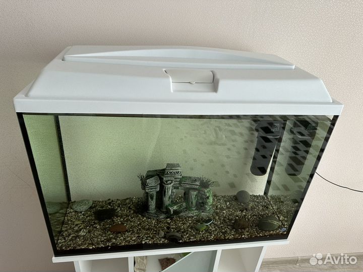 Аквариум 100л