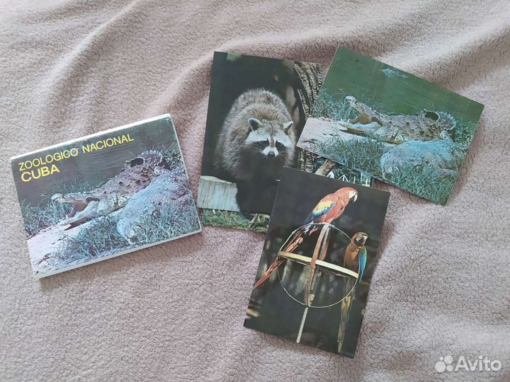 Открытки с животными