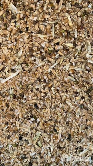 Зерноотход пшеницы