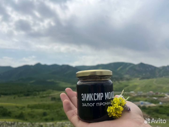 Мужской мёд