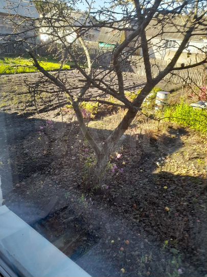 Дом 100 м² на участке 10 сот.