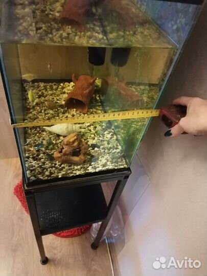 Рыбки вместе с аквариум
