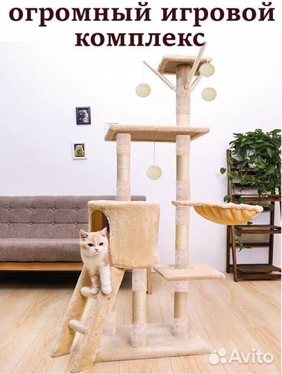 Когтеточка с домиком и гамаком