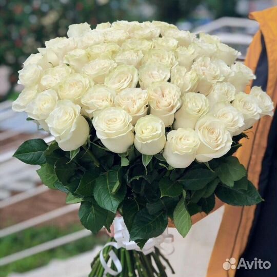 51 Белая Роза Премиум. Цветы с Доставкой