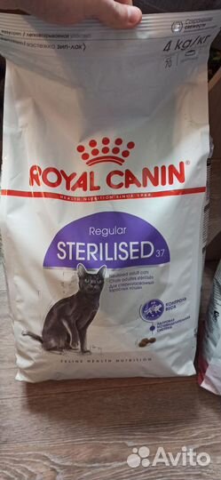 Корм для кошек