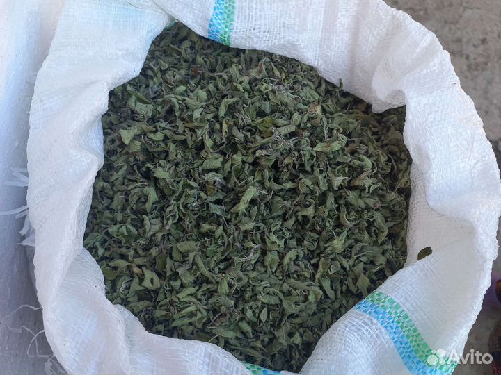 Душица. Къарачуп