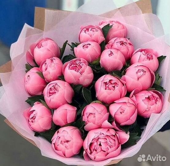 Пионы Букет пионов Доставка цветов