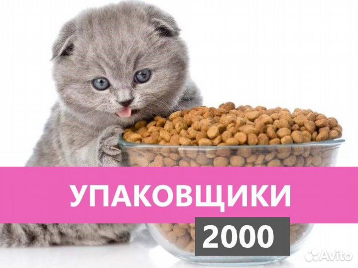 Упаковщик в Ефремов / Проживание, выплаты еженед