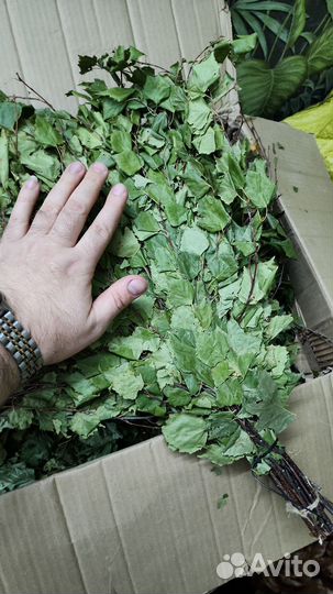 Веники для бани