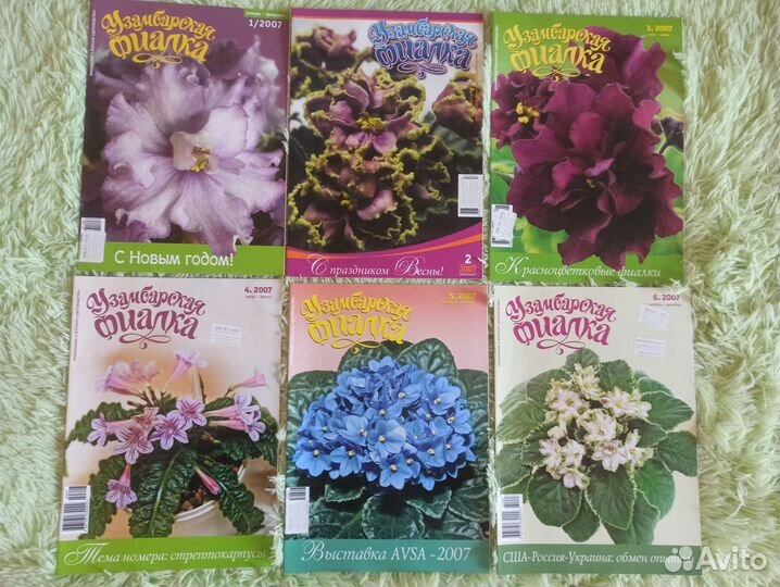 Журналы Узамбарская фиалка