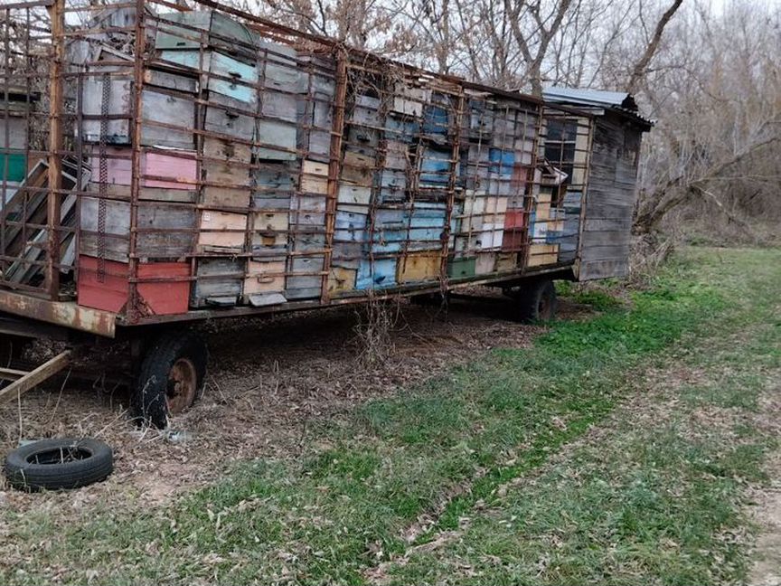 Павильон (прицеп) для перевозки пчёл, на 28 семей