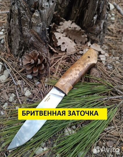 Нож охотничий Вальтер