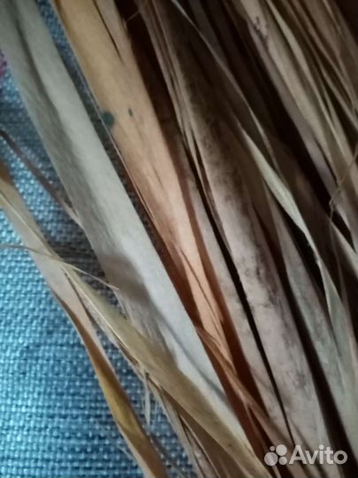 Лыко материал для творчества