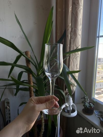 Бокалы для шампанского