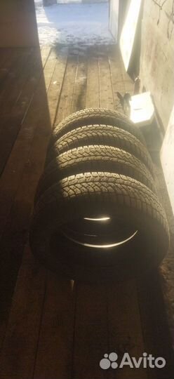 Viatti Brina Nordico V-522 205/55 R16