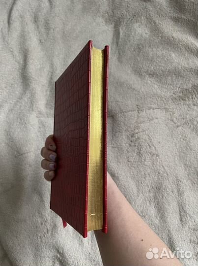 Ежедневник недатированный