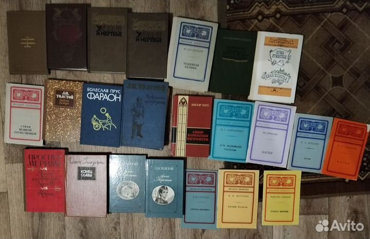 Книги русская и зарубежная классика школа