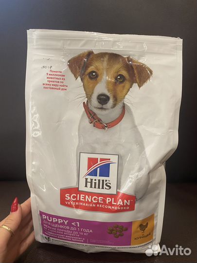 Корм для собак