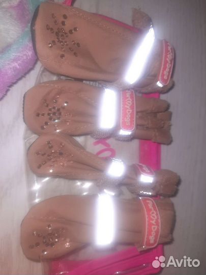 Одежда для маленьких пород собак