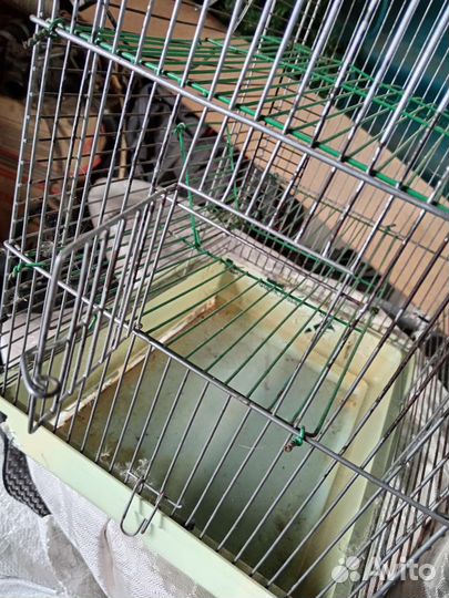 Клетка для грызунов большая