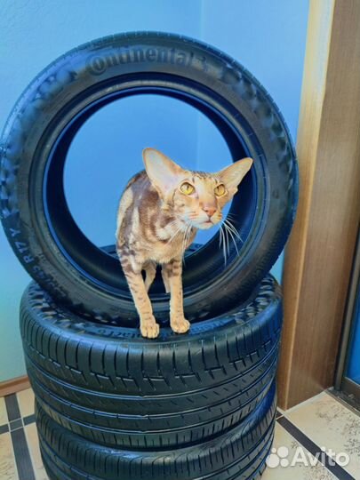 Continental PremiumContact 6 235/45 R17 94Y