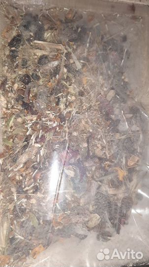 Кормушка для птиц. Дары Леса +. Мини-Копошилка