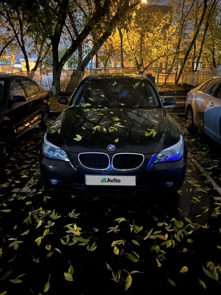 BMW 5 серия: фото владельца