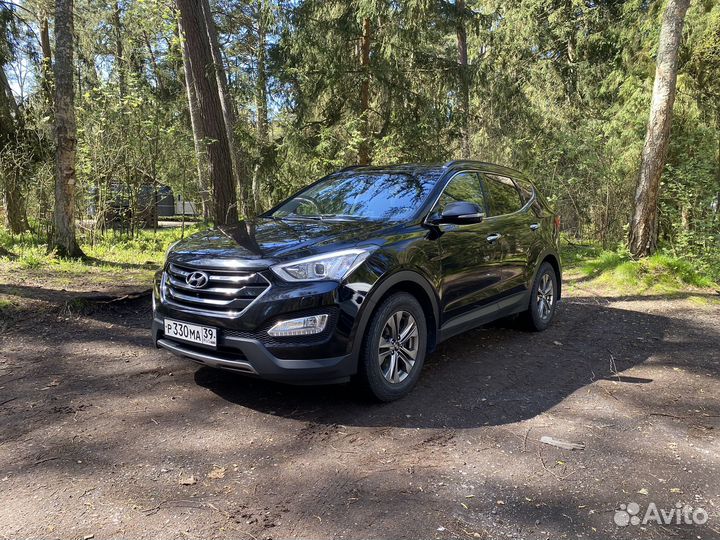 Экскурсия на Куршскую Косу без суеты и спешки