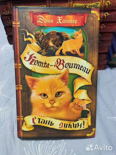 Коты воители