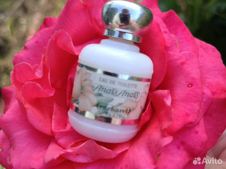 Cacharel anais для Анастасии