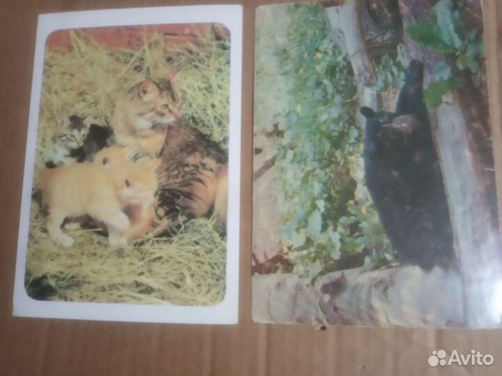 Открытки СССР