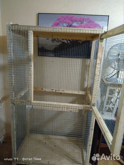 Клетка