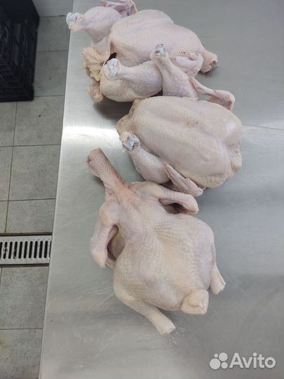 Мясо Бройлера